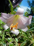 DSCN4785.JPG