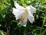 DSCN4786.JPG