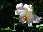 DSCN4789.JPG