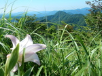 DSCN4795.JPG