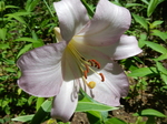 DSCN4803.JPG