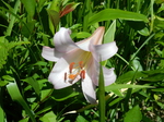 DSCN4818.JPG