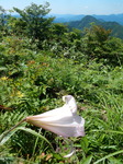 DSCN4820.JPG