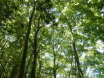 DSCN4826.JPG