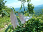 DSCN4827.JPG