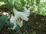 DSCN4830.JPG