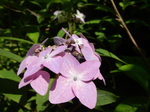 DSCN4837.JPG