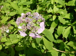 DSCN4840.JPG