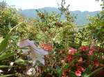 DSCN4853.JPG