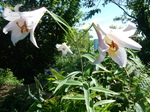 DSCN4862.JPG