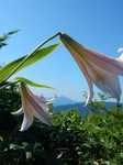 DSCN4865.JPG