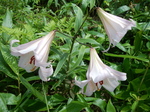 DSCN4869.JPG
