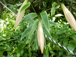 DSCN4874.JPG
