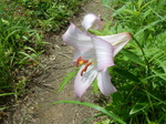 DSCN4875.JPG