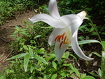 DSCN4876.JPG