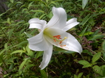 DSCN4877.JPG