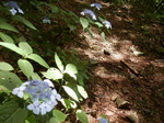 DSCN4878.JPG