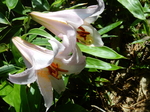 DSCN4882.JPG