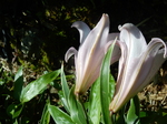 DSCN4883.JPG