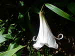 DSCN4885.JPG