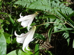 DSCN4886.JPG