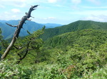 DSCN4889.JPG