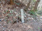 DSCN4894.JPG