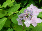 DSCN4896.JPG