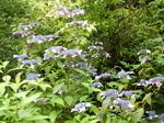 DSCN4897.JPG