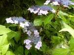 DSCN4899.JPG