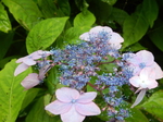 DSCN4901.JPG