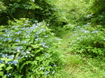 DSCN4903.JPG