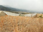DSCN4944.JPG