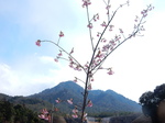 DSCN4945.JPG