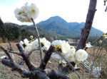 DSCN4946.JPG