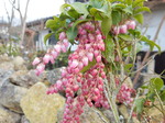 DSCN4955.JPG