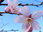 DSCN4963.JPG