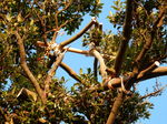 DSCN4970.JPG