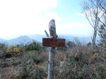 DSCN4971.JPG