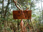 DSCN5097.JPG