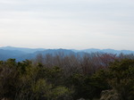 DSCN5115.JPG