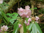 DSCN5486.JPG