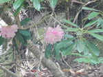 DSCN5490.JPG