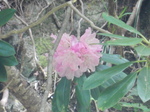 DSCN5491.JPG