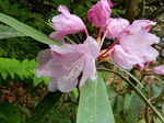DSCN5512.JPG