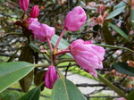 DSCN5513.JPG
