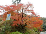 DSCN6528.JPG