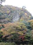DSCN6536.JPG