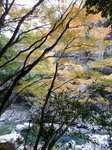 DSCN6540.JPG