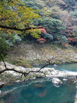 DSCN6555.JPG